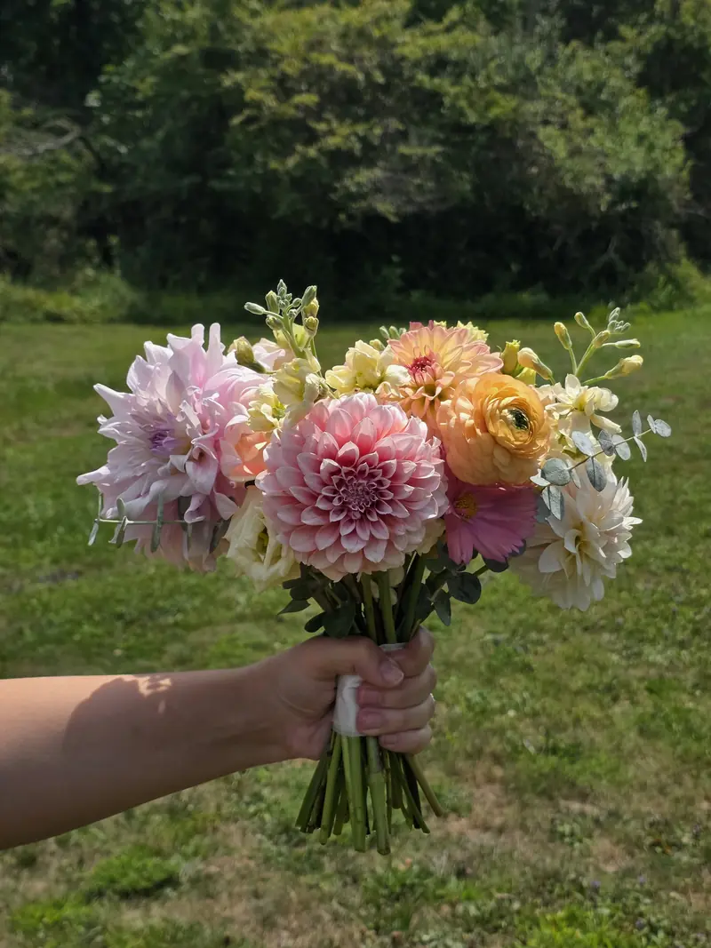 A fresh bouquet of blush dahlias, peach ranunculus, and delicate seasonal blooms